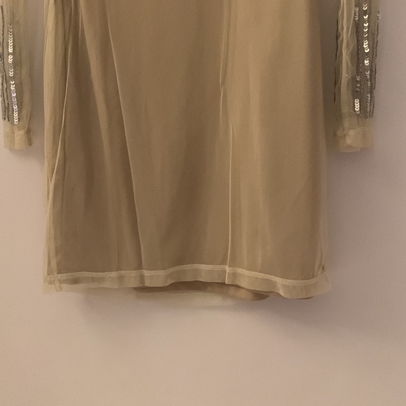 H&M Small Sheer/Beige/Silver Embroided long-sleeve dress - Picture 6 of 6